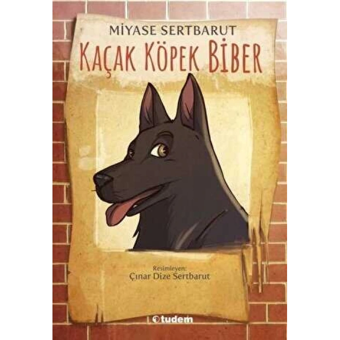 Kaçak Köpek Biber - Miyase Sertbarut - Tudem Yayınları