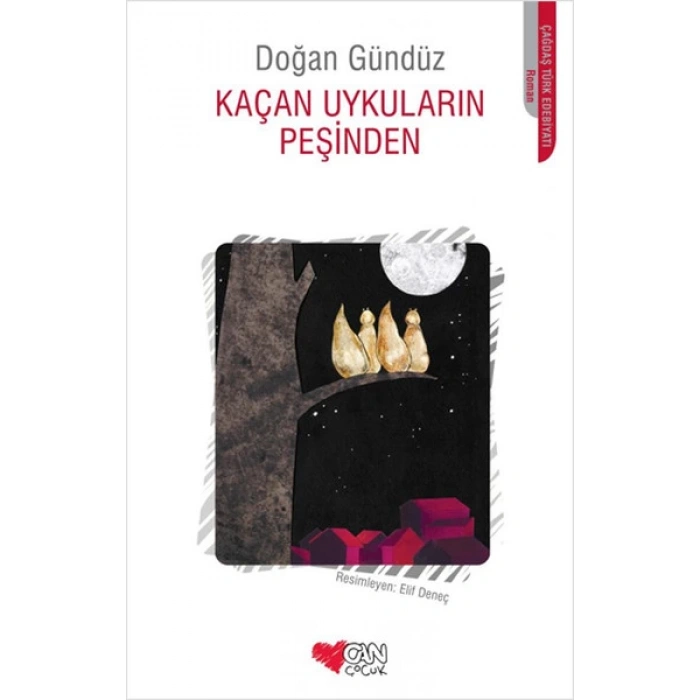 Küçük Pıtırcık - René Goscinny - Can Çocuk Yayınları