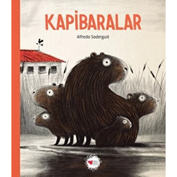 Kapibaralar - Alfredo Soderguit - Can Çocuk Yayınları