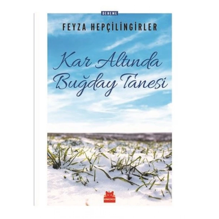 KAR ALTINDA BUĞDAY TANESİ -FEYZA HEPÇİLİNGİRLER-KIRMIZI KEDİ YAYINLARI