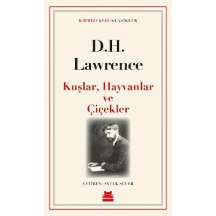 Kuşlar, Hayvanlar ve Çiçekler-D. H. Lawrence-Kırmızı Kedi Yayınevi
