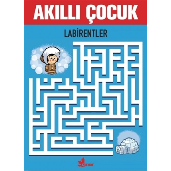 Labirentler-Akıllı Çocuk - Çınar Yayınları