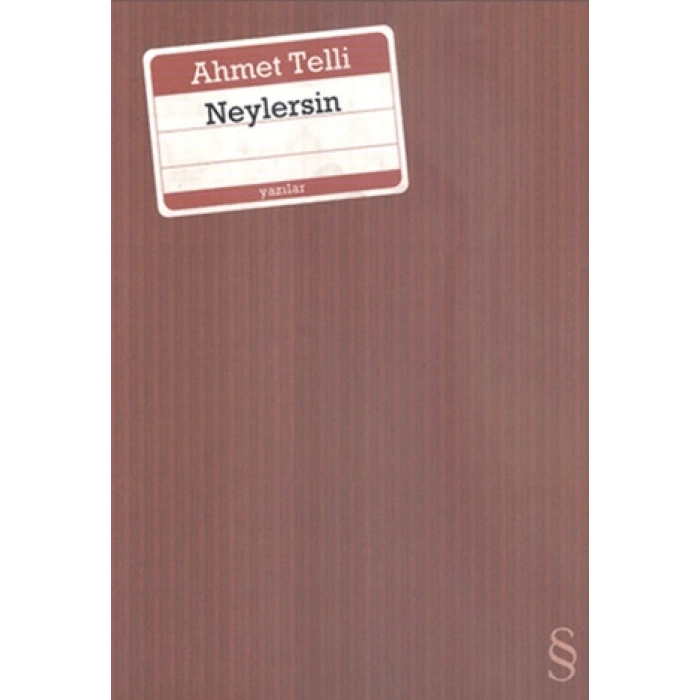 Neylersin-Ahmet Telli- Everest Yayınları