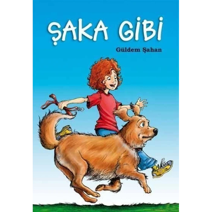 Şaka Gibi - Güldem Şahan - Tudem Yayınları