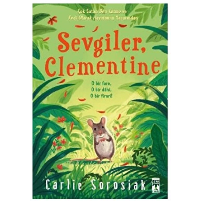 Sevgiler Clementine - Carlie Sorosiak - Genç Timaş Yayınları