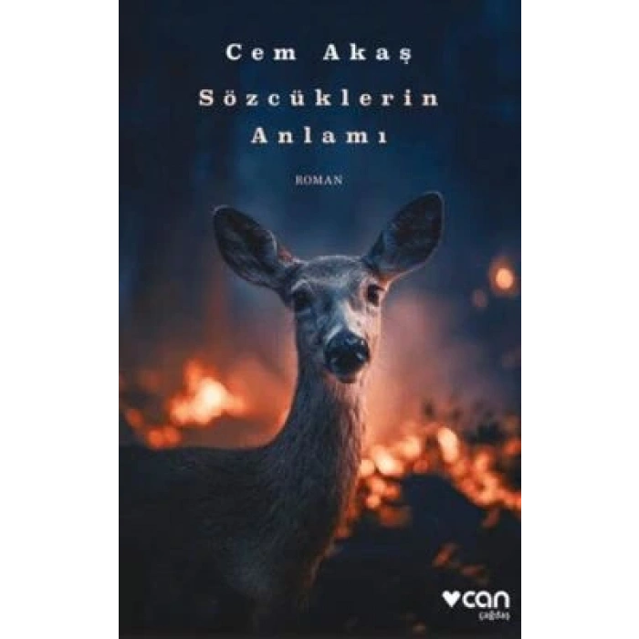 Sözcüklerin Anlamı-Cem Akaş-Can Yayınları