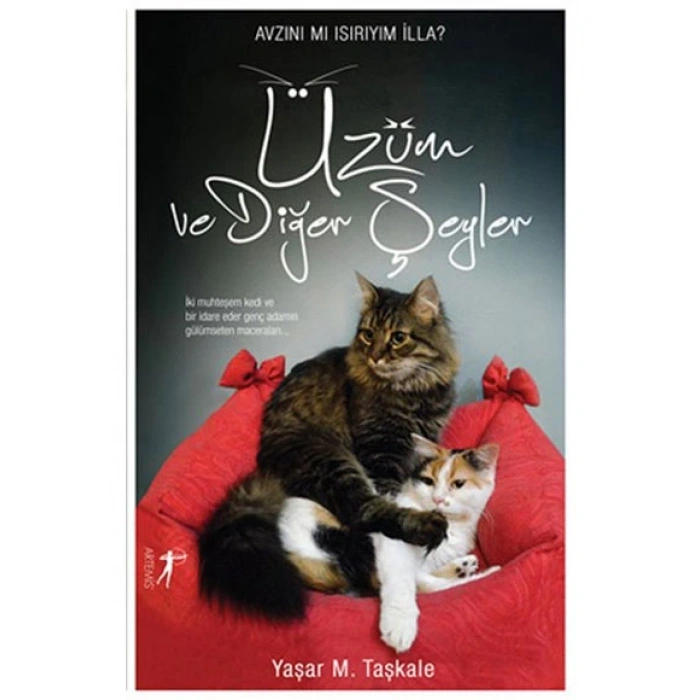 Üzüm Ve Diğer Şeyler - Yaşar M. Taşkale - Artemis Yayınları