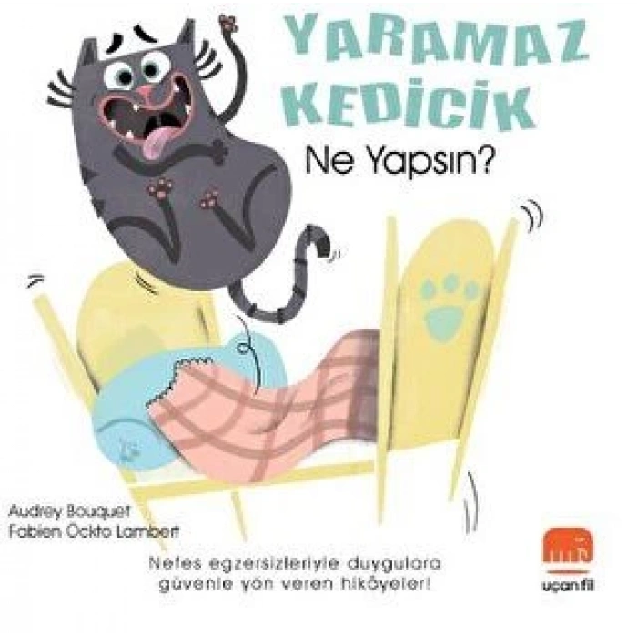 Yaramaz Kedicik Ne Yapsın? - Audrey Bouguet - Uçan Fil Yayınları