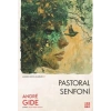 Pastoral Senfoni - Andre Gide - Dokuz Yayınları