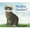 Acaba Neden?-(Karton Kapak)-Feridun Oral- Yapı Kredi Yayınları