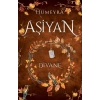 Aşiyan 2- Divane- (Ciltli)-Hümeyra- Dokuz Yayınları