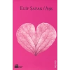 Aşk - Elif Şafak - Doğan Yayınları
