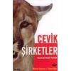Çevik Şirketler-Alper Utku-Alfa Yayınları