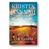 Evden Çok Uzakta-Krıstın Hannah-Doğan Kitap