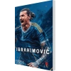 İbrahimoviç-Can Eren-(Futbol)-Peta Kitap