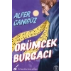 Örümcek Burgacı-Alper Canıgüz-Everest Yayınları
