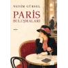 Paris Buluşmaları-Nedim Gürsel- Doğan Kitap