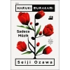 Sadece Müzik - Haruki Murakami - Doğan Kitap