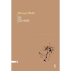 Su Çürüdü-Ahmet Telli- Everest Yayınları
