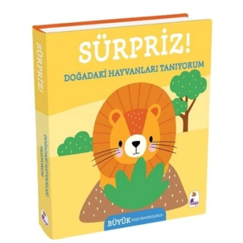 Sürpriz! – Doğadaki Hayvanları Tanıyorum - İndigo Yayınları