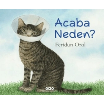 Acaba Neden?-(Karton Kapak)-Feridun Oral- Yapı Kredi Yayınları