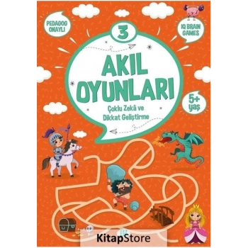Akıl Oyunları 3- (5+ Yaş)-Kolektif- Dokuz Yayınları