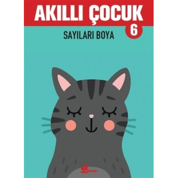 Akıllı Çocuk 6-Sayıları Boya - Çınar Yayınları