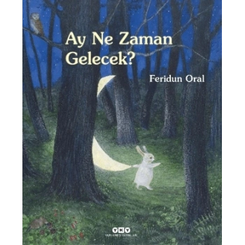 Ay Ne Zaman Gelecek?-(Karton Kapak)-Feridun Oral- Yapı Kredi Yayınları