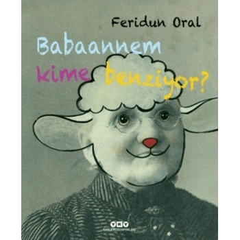 Babaannem Kime Benziyor?; (Karton Kapak-)Feridun Oral Yapı Kredi Yayınları