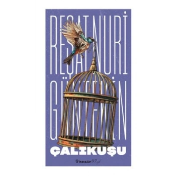 Çalıkuşu (Yeni Kapak)- Reşat Nuri Güntekin - İnkılap Yayınları