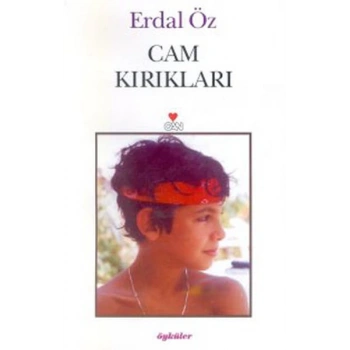 CAM KIRIKLARI - ERDAL ÖZ - CAN YAYINLARI