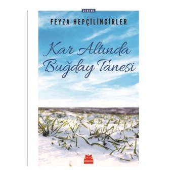 KAR ALTINDA BUĞDAY TANESİ -FEYZA HEPÇİLİNGİRLER-KIRMIZI KEDİ YAYINLARI