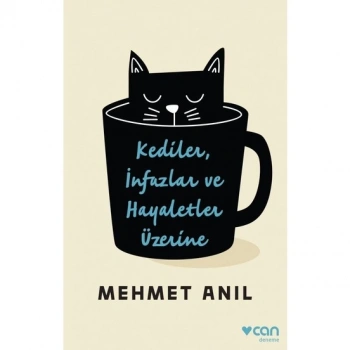 KEDİLER İNFAZLAR VE HAYALETLER ÜZERİNE - MEHMET ANIL - CAN YAYINLARI