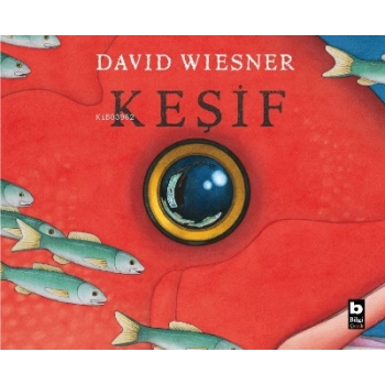 Keşif - David Wiesner - Bilgi Yayınevi