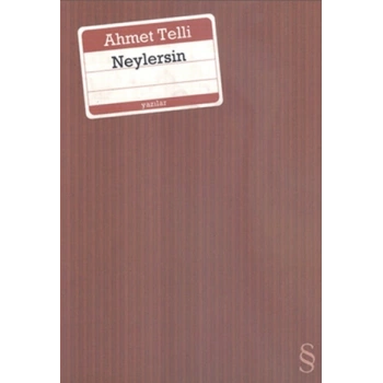 Neylersin-Ahmet Telli- Everest Yayınları