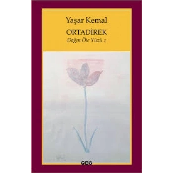 Ortadaki Direk -  Dağın Öteki Yüzü - 1 - Yaşar Kemal – Yapı Kredi Yayınları