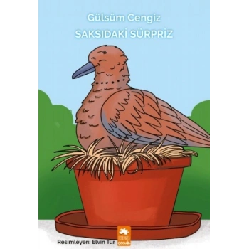 Saksıdaki Sürpriz - Gülsüm Cengiz - Eksik Parça Yayınları