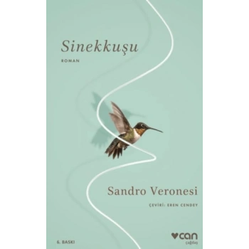 Sinek Kuşu - Sandro Veronesi - Can Yayınları