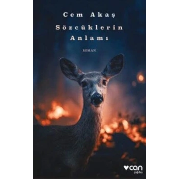 Sözcüklerin Anlamı-Cem Akaş-Can Yayınları