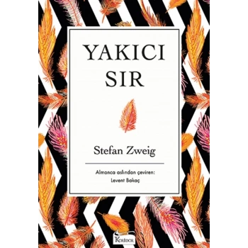 YAKICI SIR(BEZ KAPAK) - STEFAN ZWEİG - KORİDOR YAYINLARI