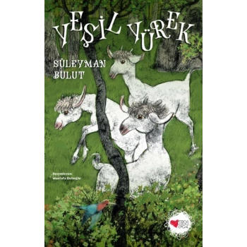 Yeşil Yürek - Süleyman Bulut - Can Çocuk Yayınları