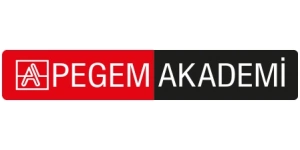Pegem Yayınları