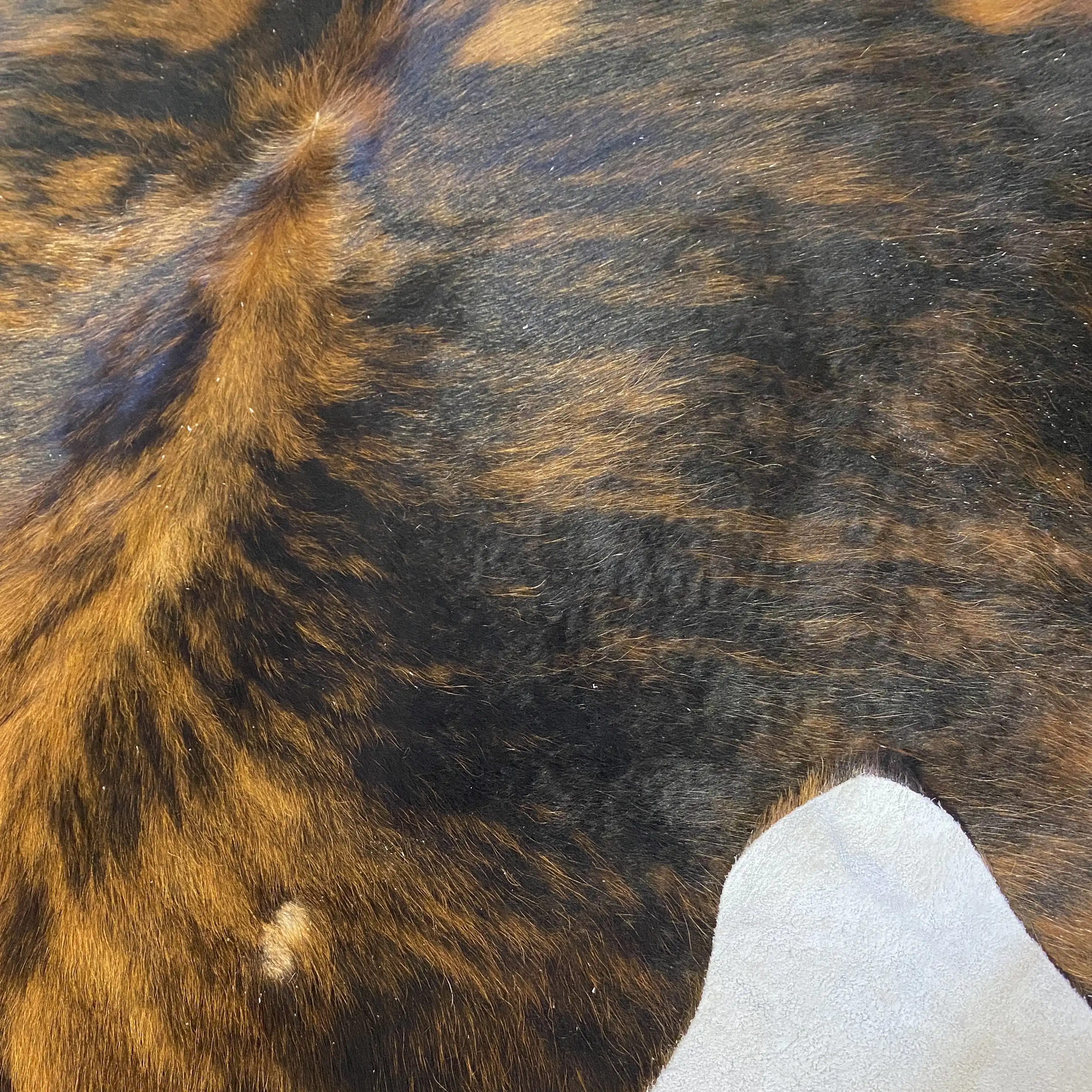 HAKİKİ DERİ DANA POSTU EGZOTİK 165 x 205 - 0401000253