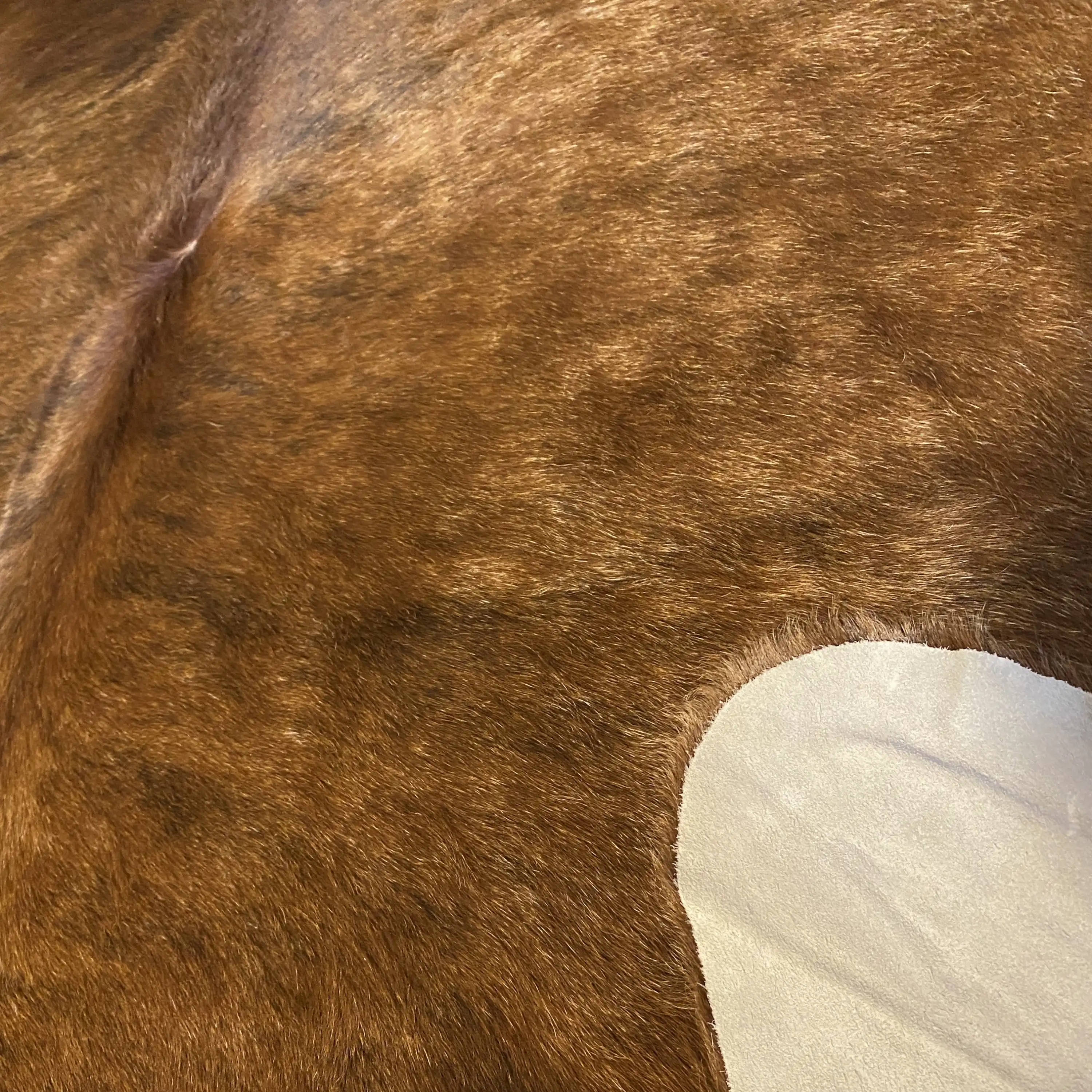 HAKİKİ DERİ DANA POSTU EGZOTİK 165 x 210 - 0401000203