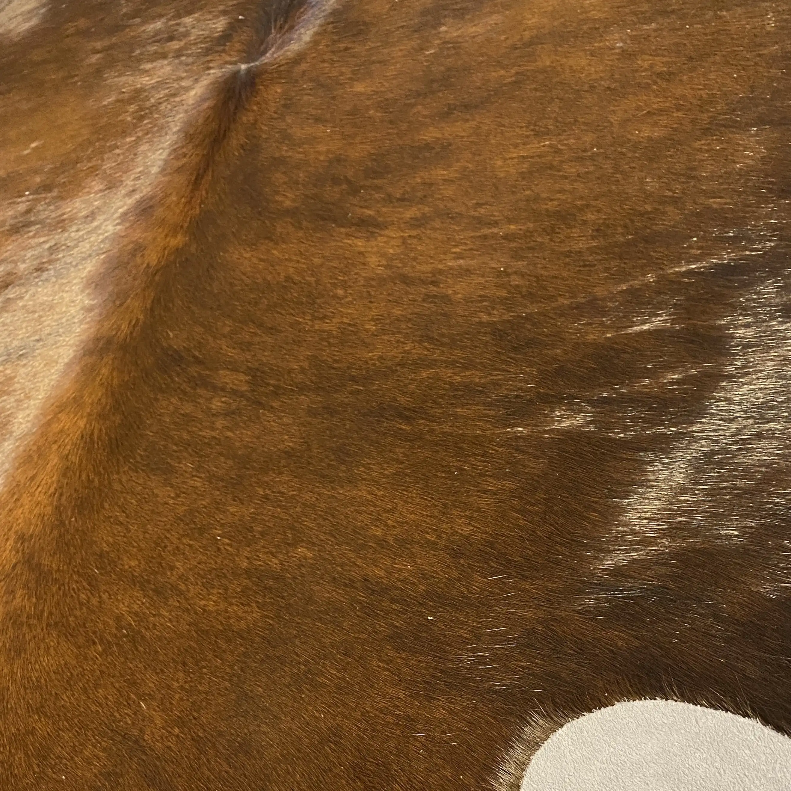 HAKİKİ DERİ DANA POSTU EGZOTİK 175 x 210 - 0401000112