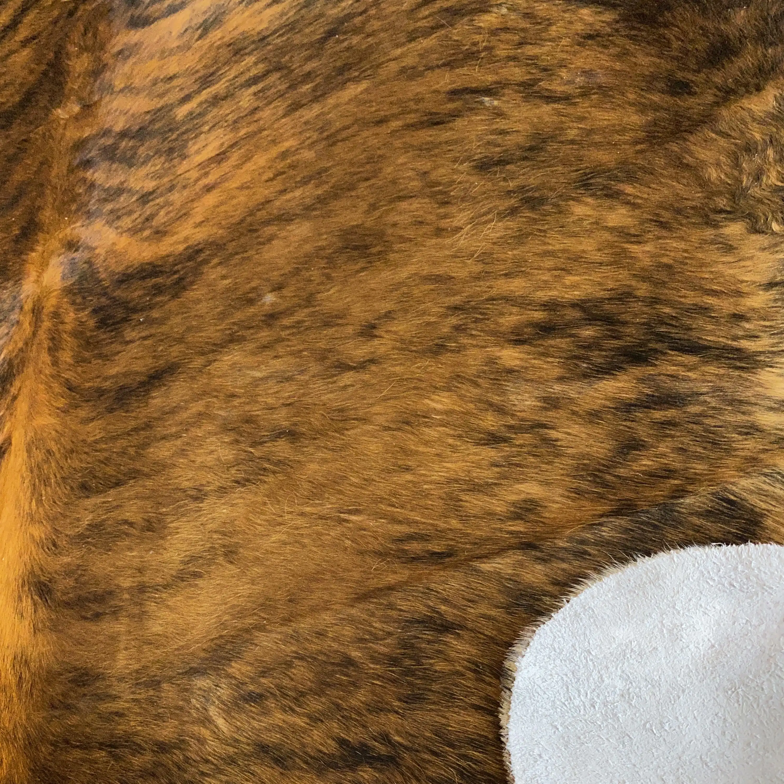 HAKİKİ DERİ DANA POSTU EGZOTİK 180 x 210 - 0401000064