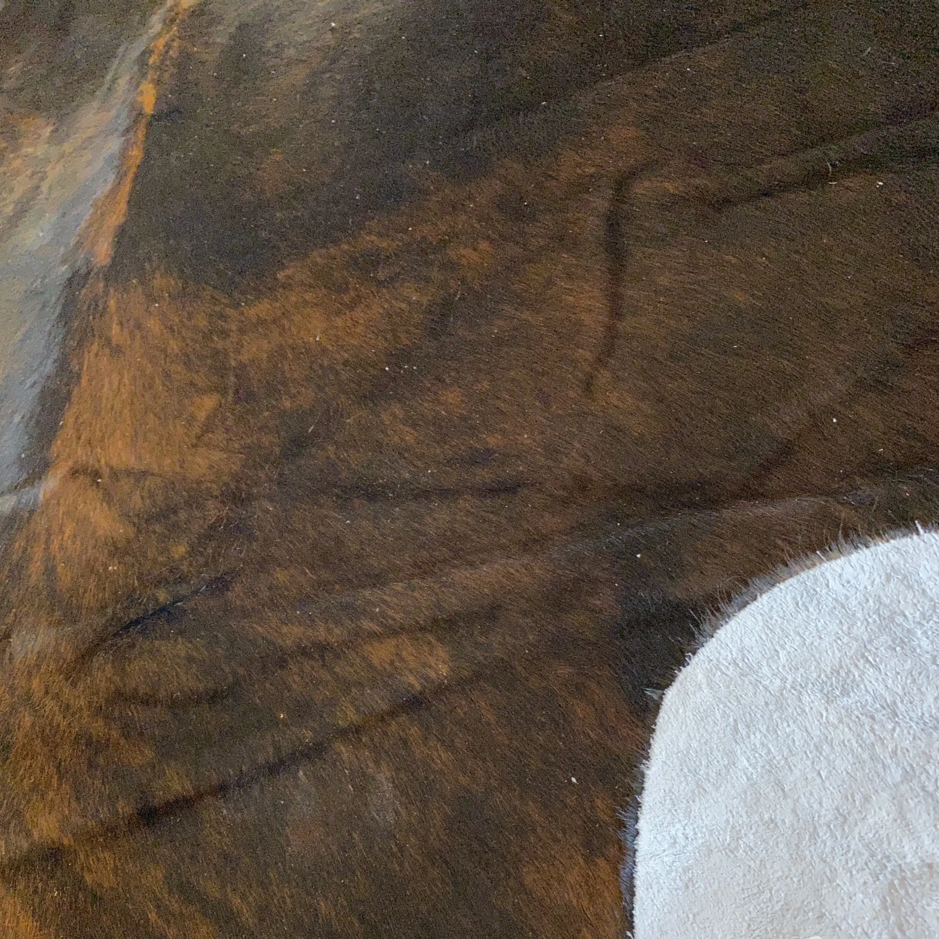 HAKİKİ DERİ DANA POSTU EGZOTİK 180 x 220 - 0401000067