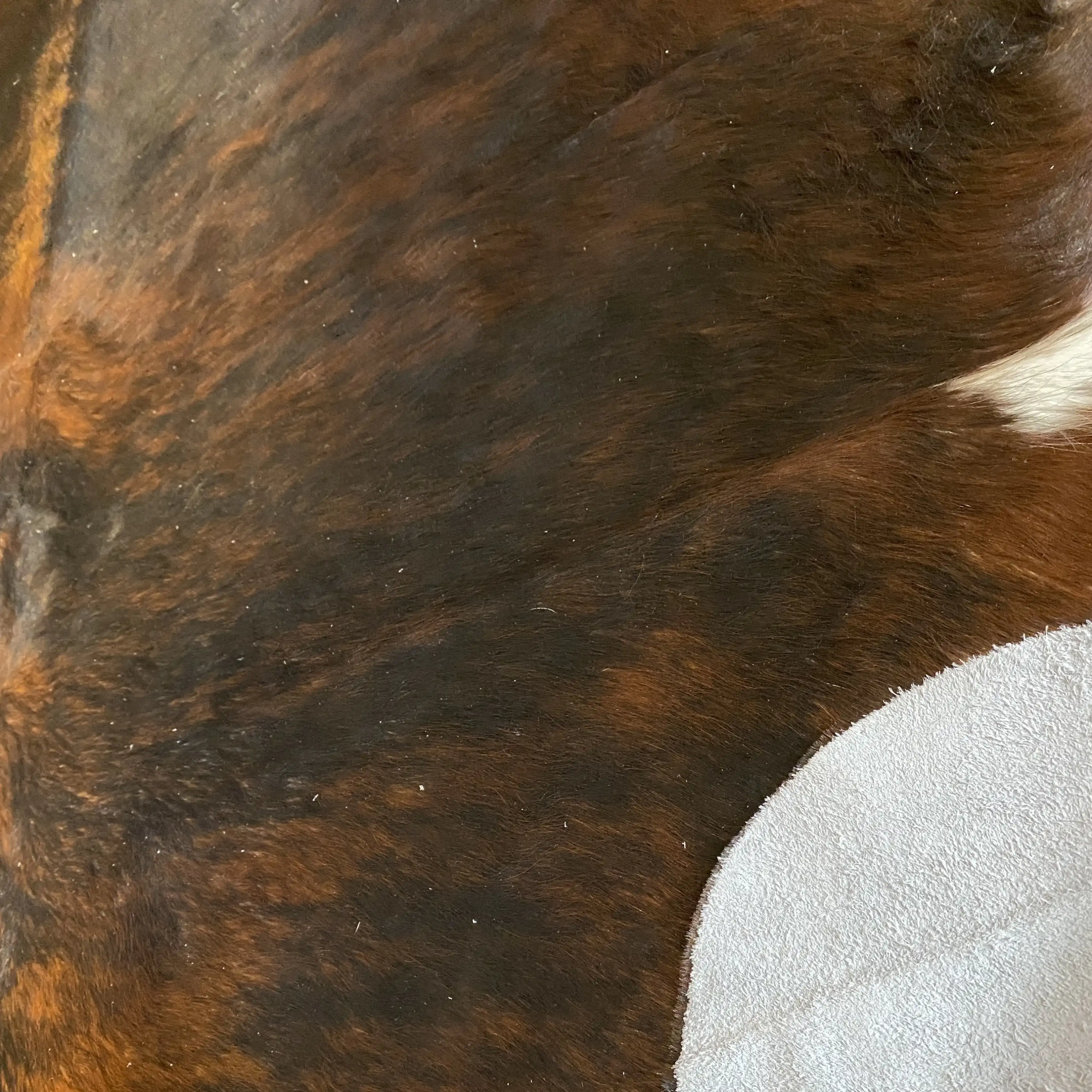 HAKİKİ DERİ DANA POSTU EGZOTİK 180 x 220 - 0401000090