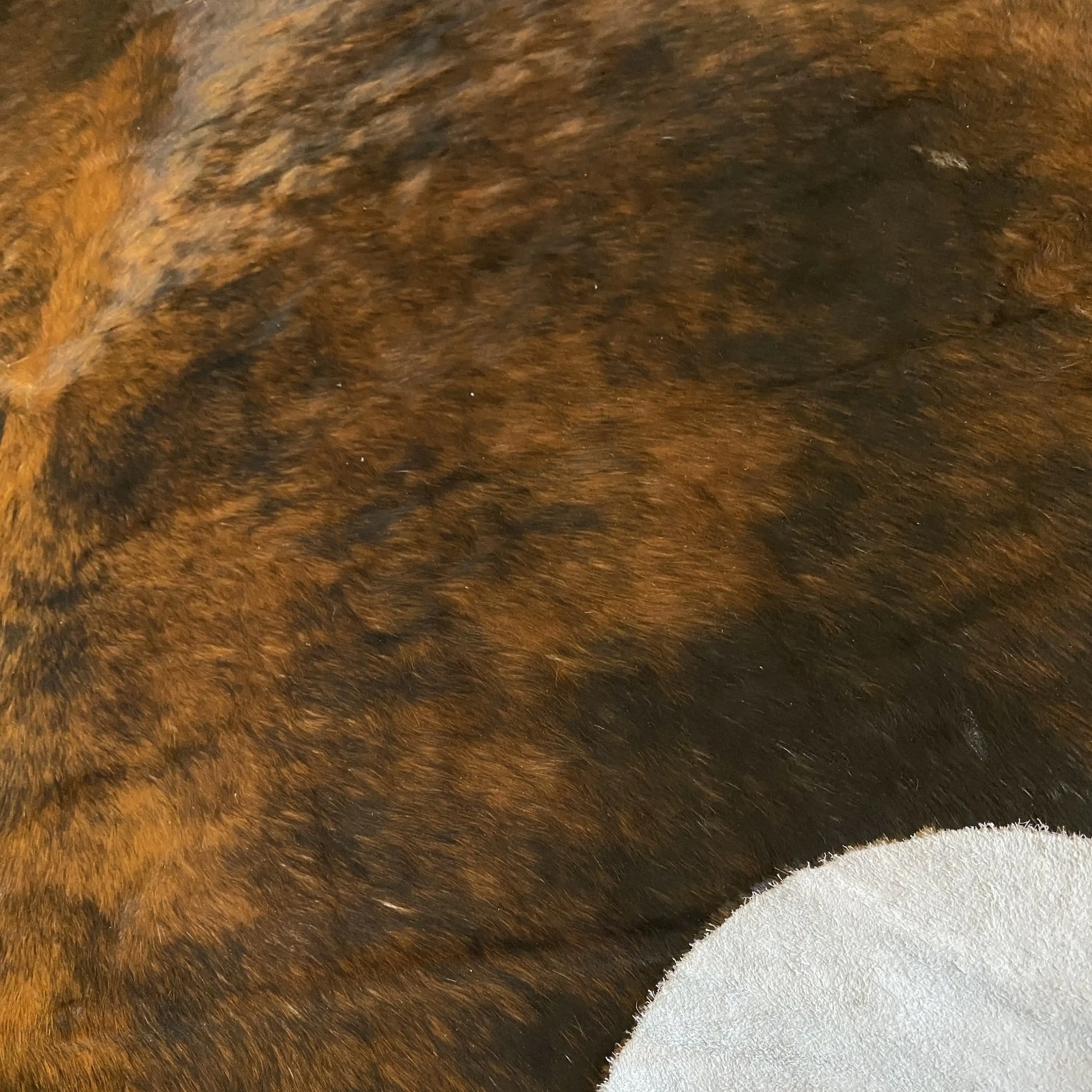 HAKİKİ DERİ DANA POSTU EGZOTİK 185 x 205 - 0401000042