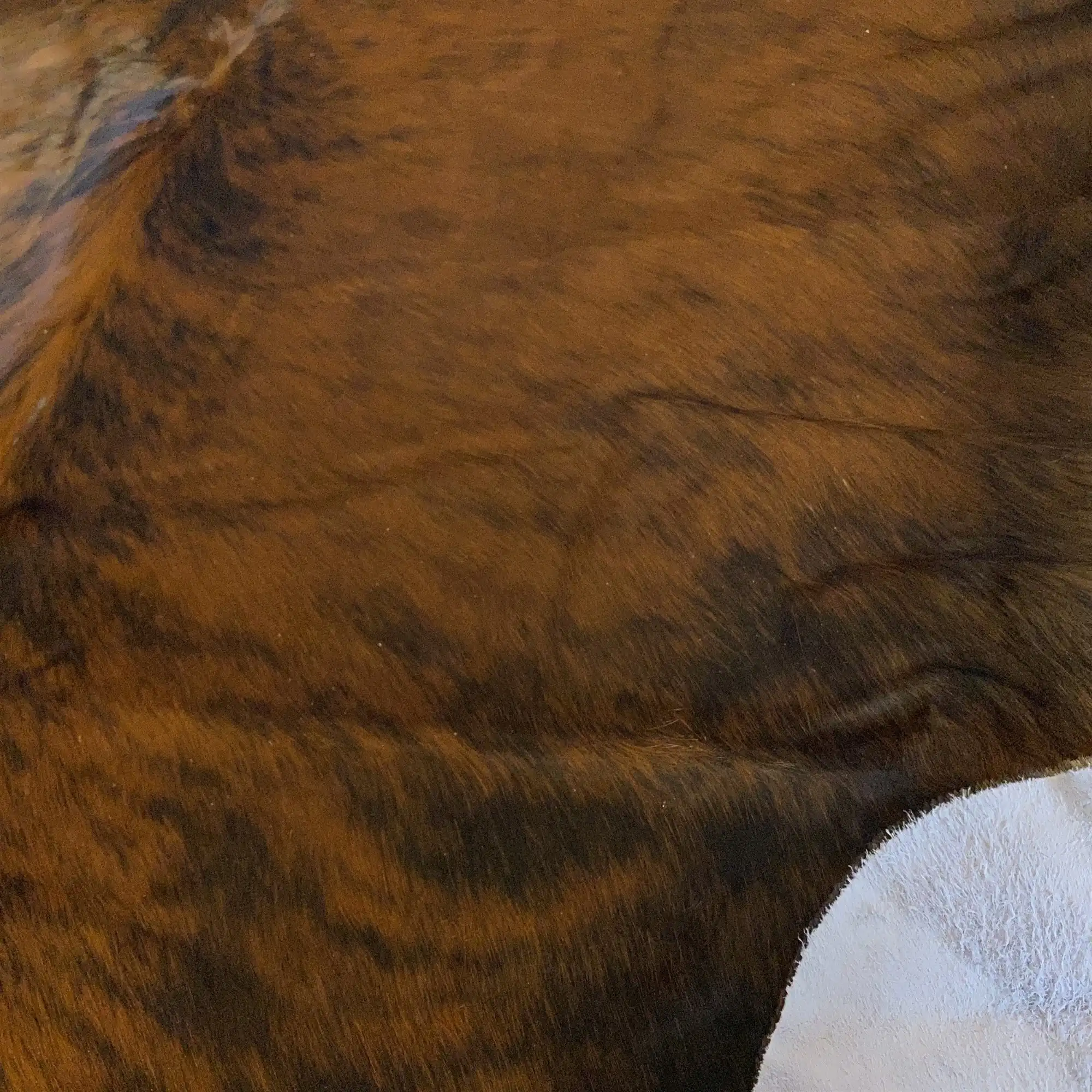 HAKİKİ DERİ DANA POSTU EGZOTİK 185 x 205 - 0401000170